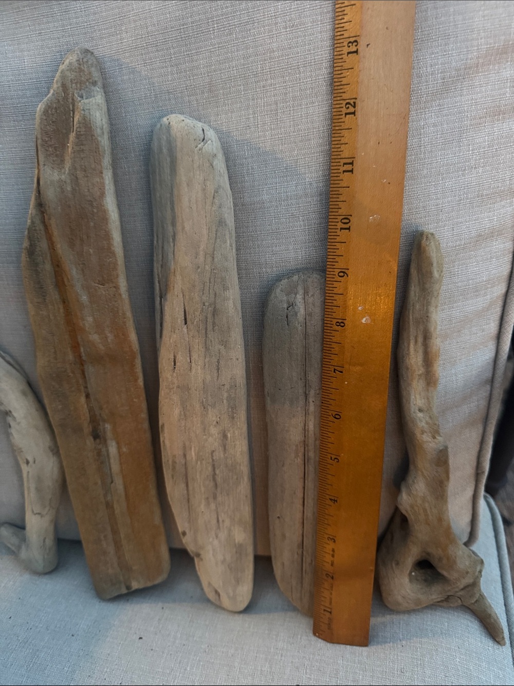 Natural Pacific Northwest Collected Beach Driftwood Decorative Accents 15 pcs - Picture 9 of 12